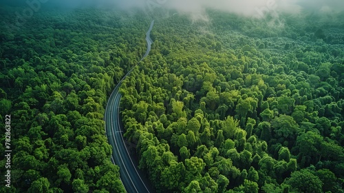 A sweeping aerial shot of a sprawling, deep green forest with a snaking highway road, emphasizing the ecological importance of trees in absorbing CO2.  © muhammad