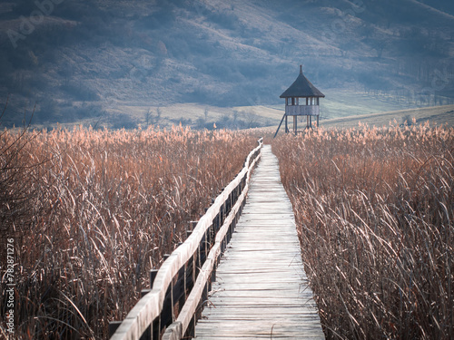 wooden path dry reeds Sic reservation village Cluj protected area birdhouse thatched roof photo