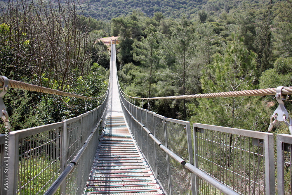 The bridge was built over a gorge and a water obstacle.