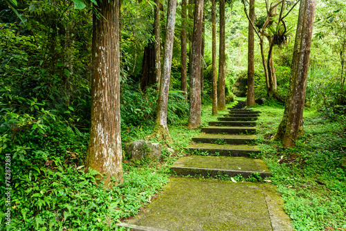 View of the Stone stair footpath through the forest in Xitou Nature Education Area in Nantou, Taiwan.