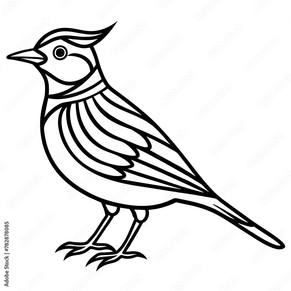 Fototapeta premium bird on a white background