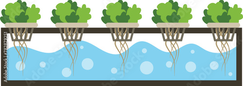 Vegetable in Hydroponic Farm Illustration