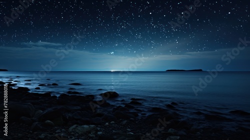  black sky at night The sky is full of stars On the background of the black sea © venusvi