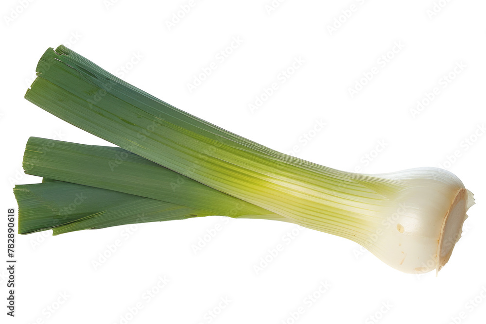 fresh green leek cutout on white background fresh green leek cutout on white background