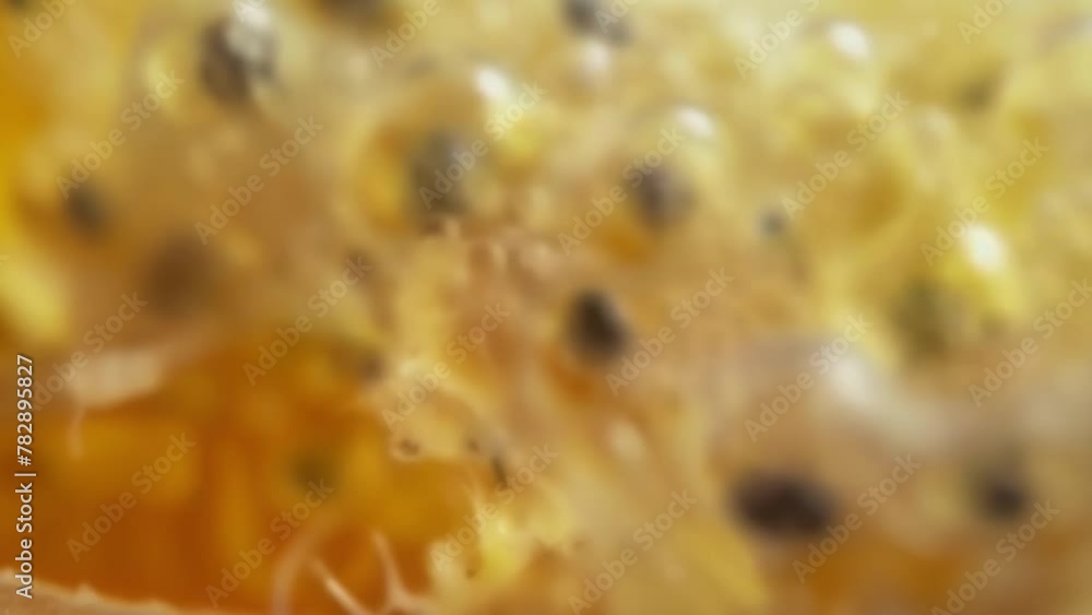 A closeup of a minuscule intricately patterned egg sac containing dozens of tiny larvae. The larvae have tiny segmented bodies and . AI generation. A closeup of a minuscule intricately patterned egg sac containing dozens of tiny larvae. The larvae have tiny segmented bodies and . AI generation.