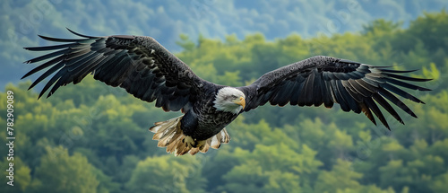 A photo of a majestic eagle soaring, with a vast expanse of green canopy below as the background, during a clear sky 