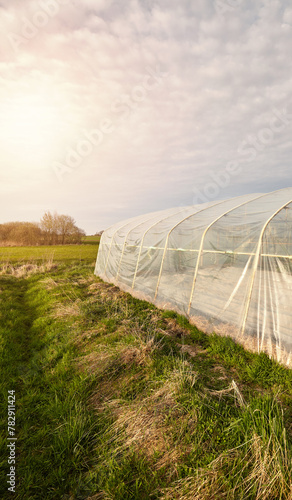 A side view of a greenhouse in an organic plantation at sunset.