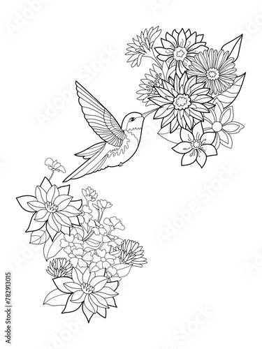 Vector hand drawn colibri bird and exotic flowers tropical illustration for adult coloring book. Freehand sketch for adult anti stress coloring book page with doodle and zentangle elements.