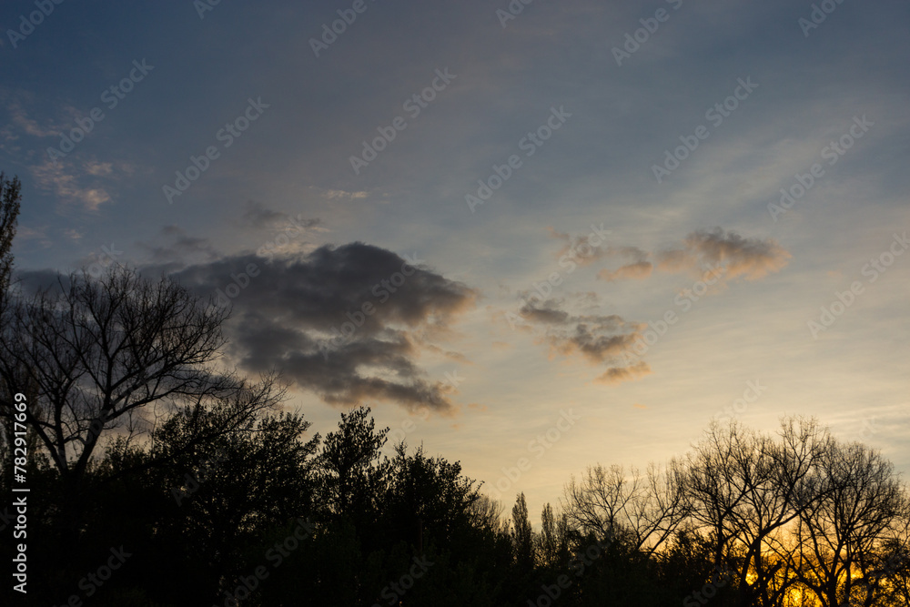 Scenic view of trees in a park at sunset in the evening in the cloudy sky background Scenic view of trees in a park at sunset in the evening in the cloudy sky background