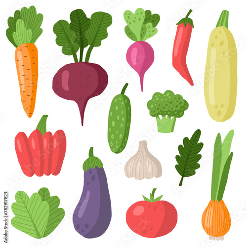 Set of vegetables. Vector illustrations