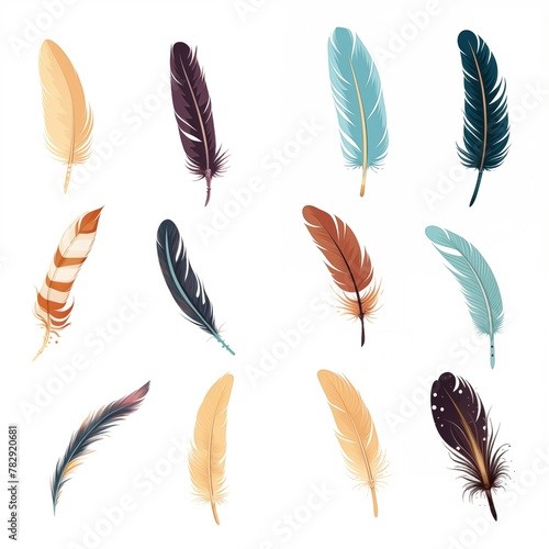 Color bird feather icons isolated on white background 