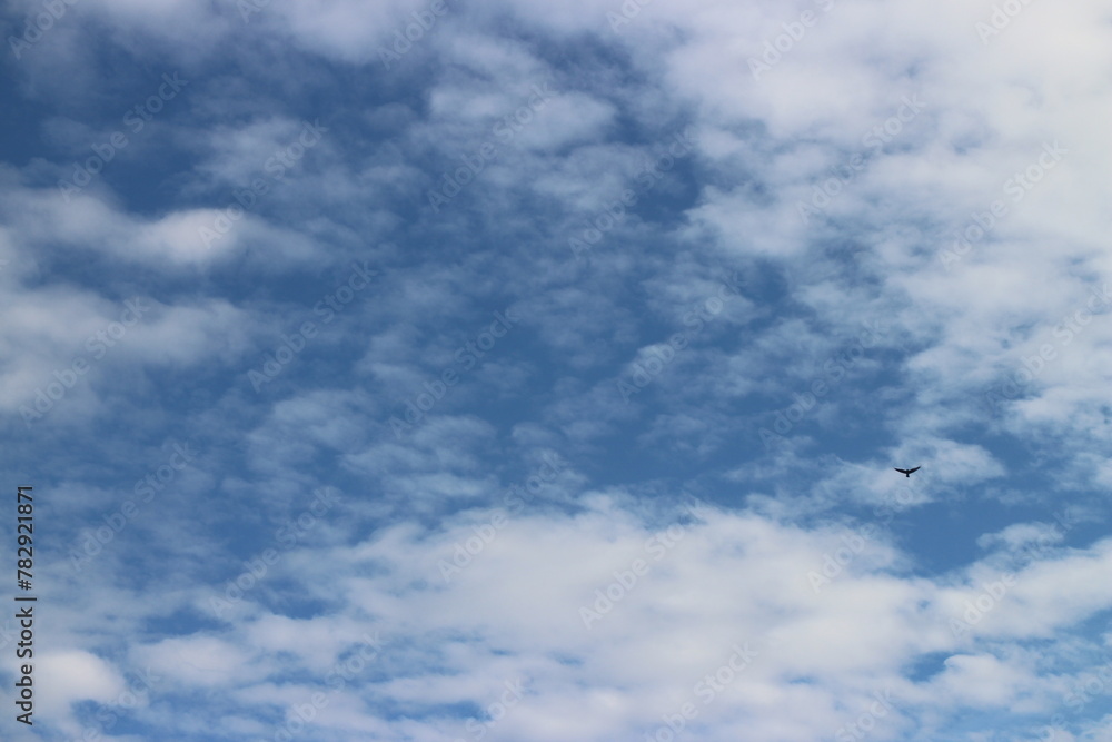 blue sky with beautiful natural white clouds blue sky with beautiful natural white clouds