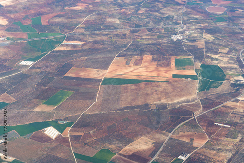 Olive Fields Aerial View. Andalusia, Spain. Olive Oil Production Concept Image. photo