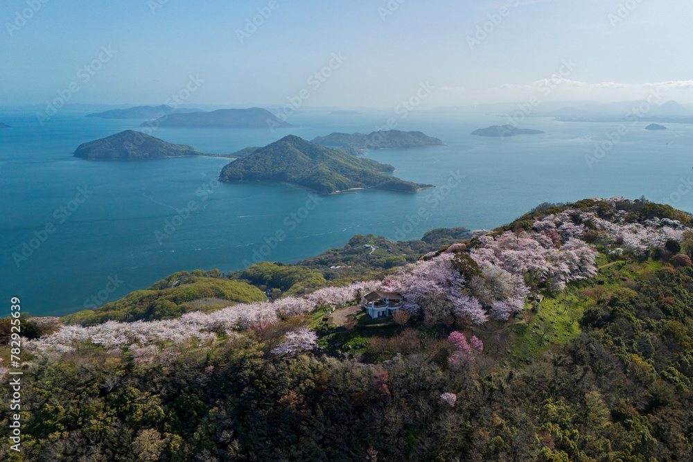 桜満開の紫雲出山