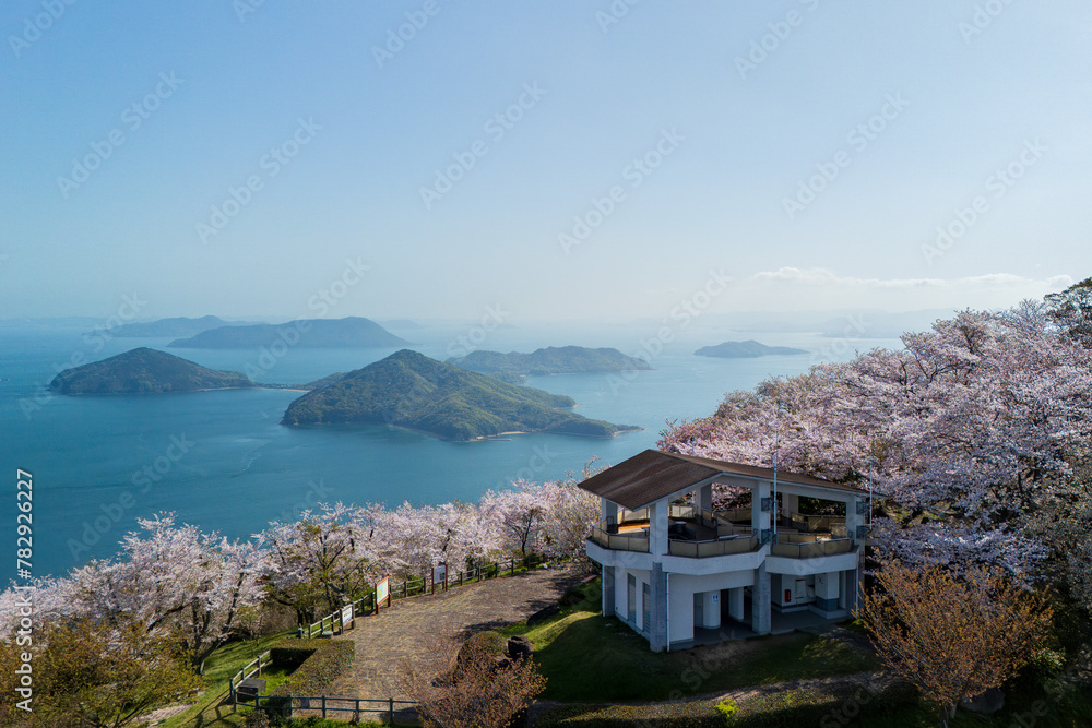 桜満開の紫雲出山