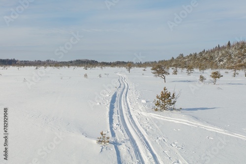 Skiing tracks at snowy marsh in sunny winter weather with snow covering the ground, Toronsuo National Park, Tammela, Finland. photo