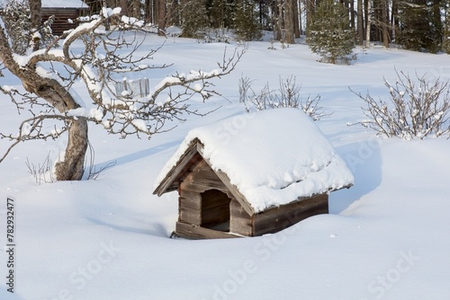 Quadro su tela Empty old doghouse sits in a yard in winter with snow covering the ground, Liesjärvi, Tammela, Finland