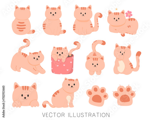 Fototapeta Naklejka Na Ścianę i Meble -  Cartoon cat set with different poses. Cat behavior, body language, Cat character. isolated vector illustration.
