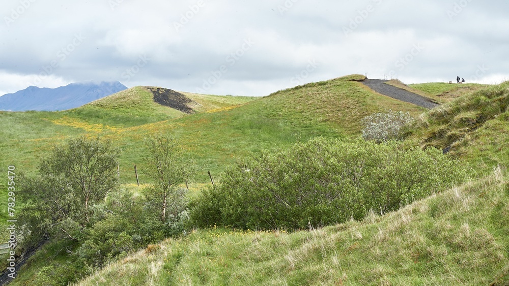 Fototapeta premium Beautiful view of lush green hills and fields of Iceland
