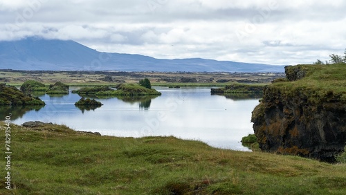 Small lake surrounded with lush green grass and plants in Iceland