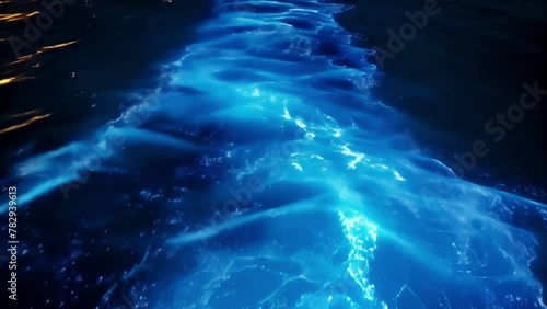 Wallpaper Mural As the yacht navigates deeper into the unknown depths of the ocean bioluminescent creatures begin to emerge illuminating the water in a mesmerizing display. Guests cant help Torontodigital.ca