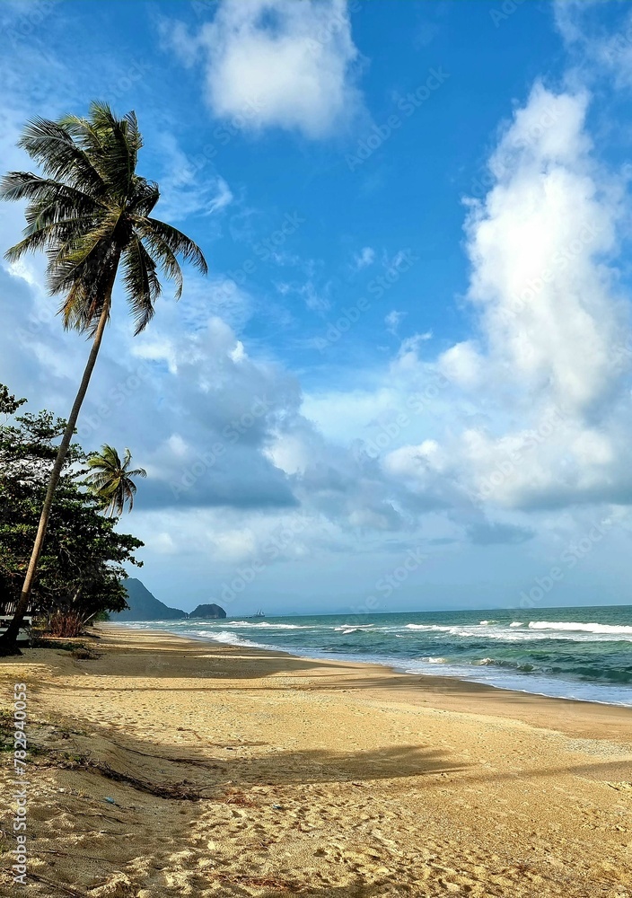 Obraz premium Beautiful tropical sandy beach with palm trees and splashing waves in a vertical shot