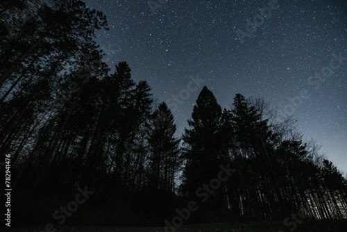 Scenic view of silhouettes of trees on a starry night