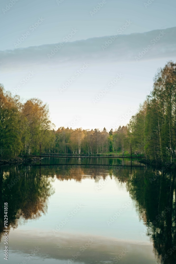 Fototapeta premium Vertical shot of a scenic river with birch trees at sunset in Sweden