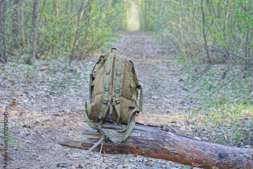 one brown army backpack stands on a fallen ancient tree above the road in the spring forest