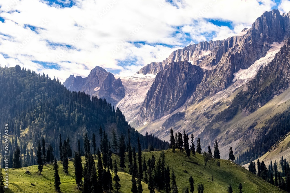 Fototapeta premium Aerial view of a mountain range covered with greenery in Kashmir, India