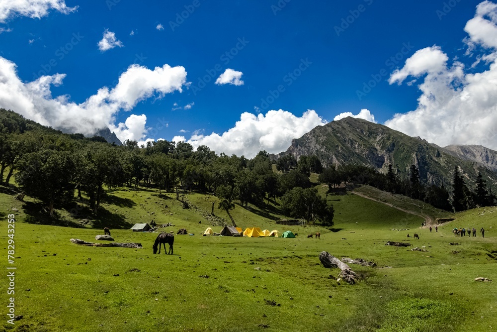 Beautiful shot of rural mountain scenery in Sonamarg Hill Trek in Jammu and Kashmir, India