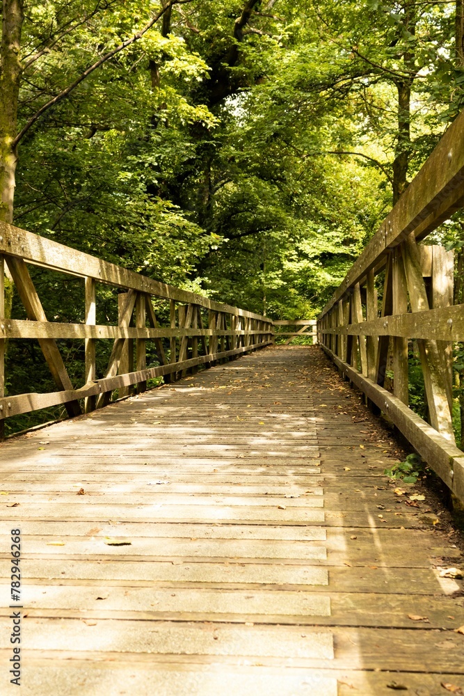 Vertical shot of wooden footbridge crossing from the woodland of The Saltings Nature Reserve Vertical shot of wooden footbridge crossing from the woodland of The Saltings Nature Reserve