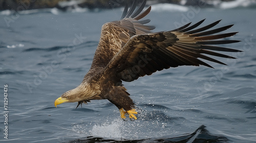 Bald Eagle Soaring Above Water in Nature's Sky photo