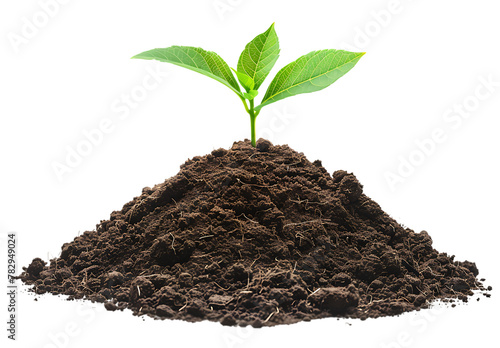 Simple soil with a small plant growing isolated on a white background
