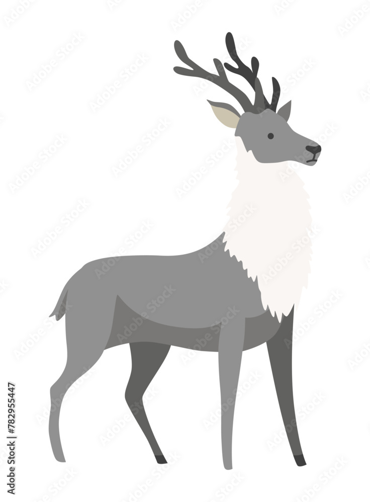 Cartoon reindeer with beautiful antlers. Doe animal. Character cute deer isolated on white background. Vector illustration Cartoon reindeer with beautiful antlers. Doe animal. Character cute deer isolated on white background. Vector illustration