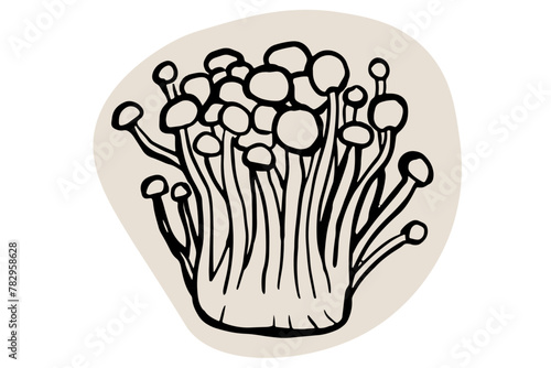 Enoki mushroom hand drawn illustration on white background. Edible mushroom icon. 