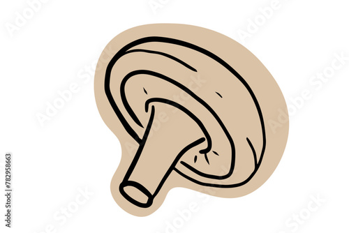 Shiitake mushroom hand drawn illustration on white background. Edible mushroom icon. 