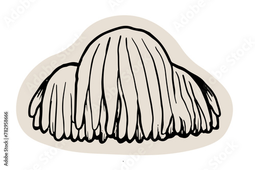 Lion mane mushroom hand drawn illustration on white background. Edible mushroom icon. 