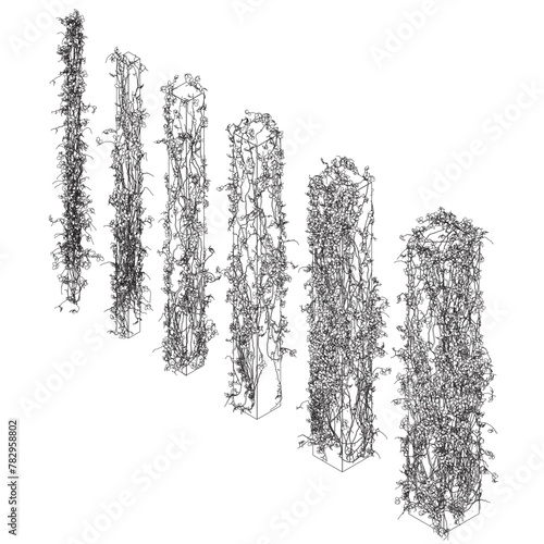 Contour of columns entwined with plants with leaves made of black lines isolated on a white background. 3D. Vector illustration. A set of columns of different sizes. Isometric view.