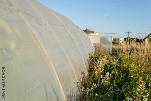 Greenhouse with fresh vegetables in the green countryside