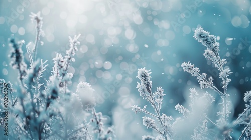 Close up of a plant covered in frost, suitable for winter themes