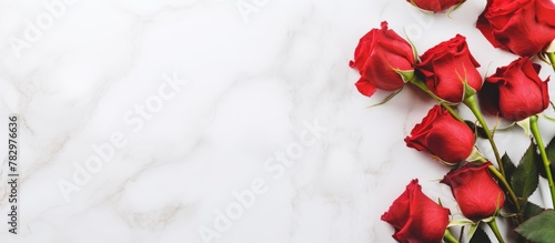 Red roses marble table white background #782976636