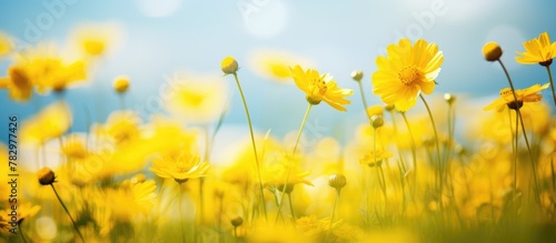Yellow flowers sway against a blue sky