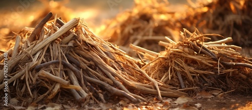 A pile of hay on dirt ground photo