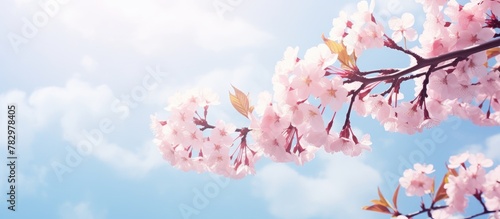 Pink blossoms sway under sunny sky