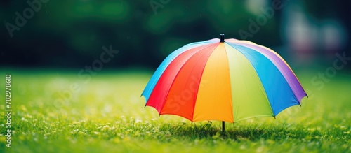 Colorful parasol rests on park grass