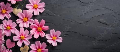 Pink blooms against dark ba...