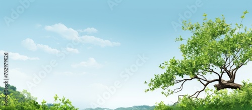 Tree Growing on Hill Against Sky Background