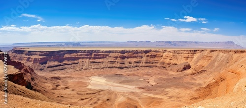 A vast canyon amidst a dese...