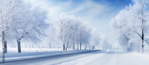 Snowy road flanked by snow-covered trees